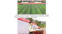 中国网：淮北师范大学2025级新生军训成果展示暨总结表彰大会圆满落幕
