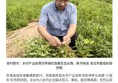 新华网报道我校党委常委、副校长李峰教授参与烈山区乡村产业指导工作